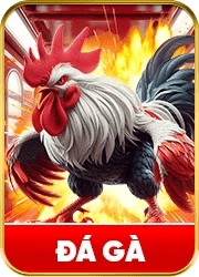 789pet 1