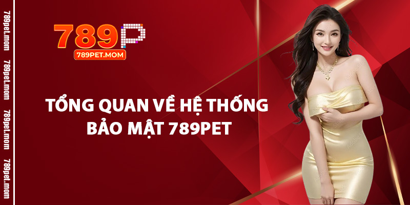 Tổng Quan Về Hệ Thống Bảo Mật 789Pet